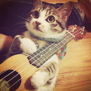 国产传媒高清无码无套
